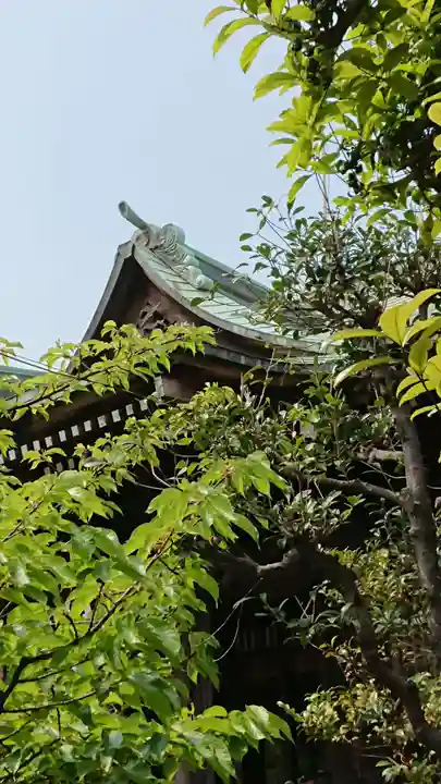 桜神宮の本殿・本堂