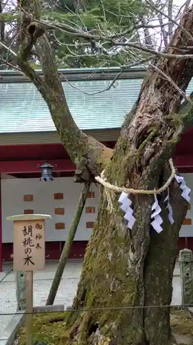 笠間稲荷神社の庭園