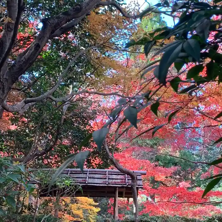 厭離庵(京都府)