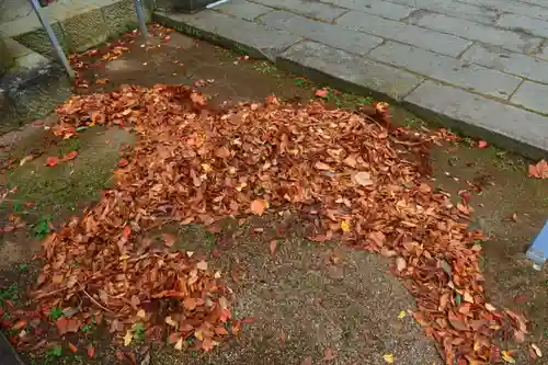 神炊館神社 ⁂奥州須賀川総鎮守⁂の芸術