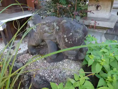 大島稲荷神社の狛犬