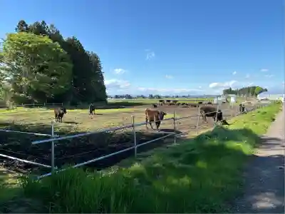津島神社(栃木県)