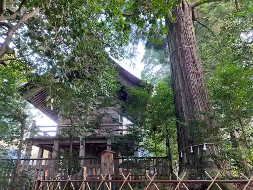 須佐神社の本殿