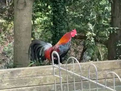 観音寺(神奈川県)