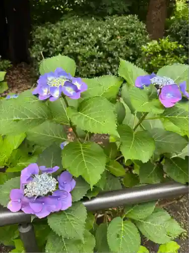 上野東照宮(東京都)