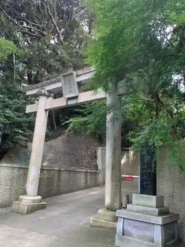 猿田神社の鳥居