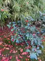 宝厳院(京都府)