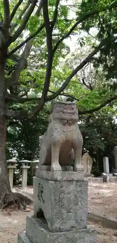 琴崎八幡宮の狛犬