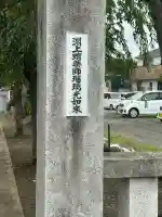淵上蛸薬師瑠璃光如来(宮城県)