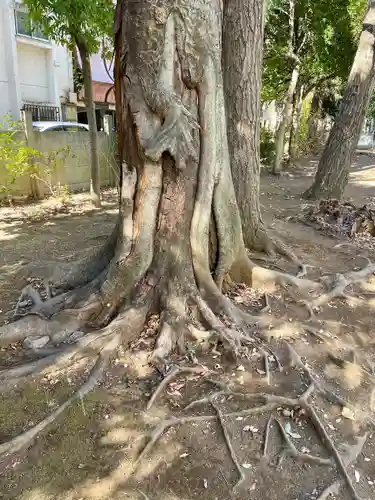 八雲氷川神社(東京都)