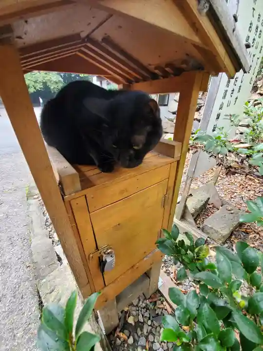 唐澤山神社の動物