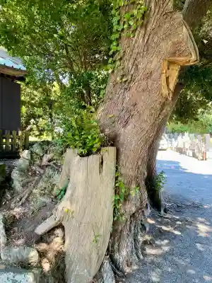 八雲神社（北鎌倉・山ノ内）(神奈川県)