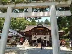 武田神社の鳥居