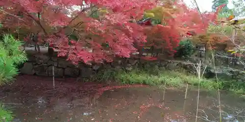 鍬山神社の自然