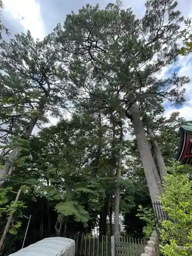 瀬田玉川神社の自然