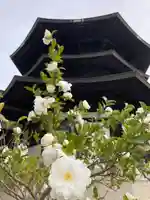 斑鳩寺のその他建物