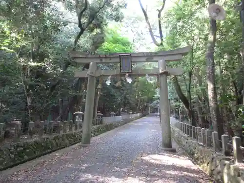 崇道神社の鳥居