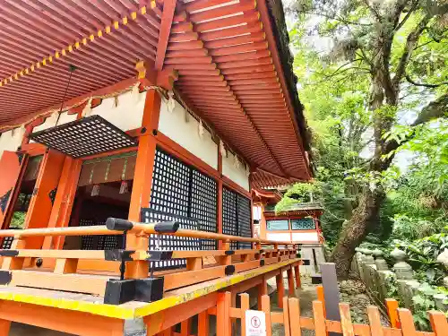 厳魂神社（金刀比羅宮奥社）の本殿