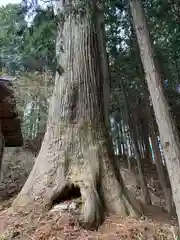 嶽山箒根神社奥の院の建物その他