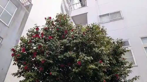 専念寺の自然
