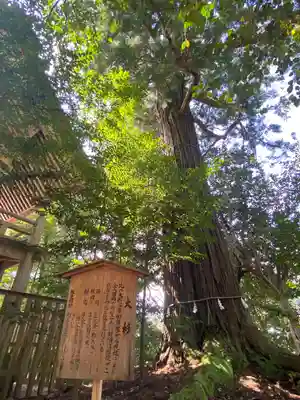 須佐神社(島根県)