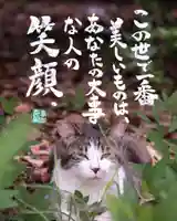 専念寺(大阪府)