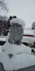 北海道護國神社の狛犬