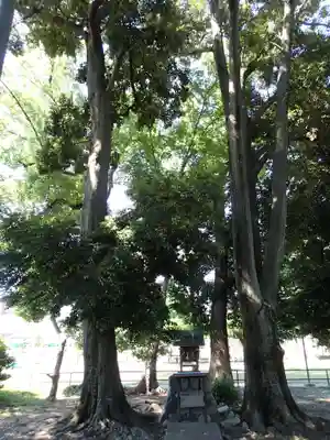 田中天神跡（稲木神社跡）の本殿・本堂