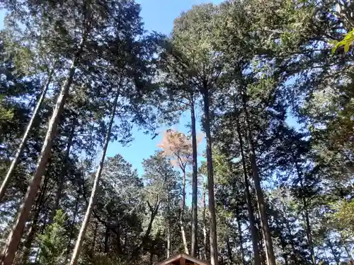 高麗神社(埼玉県)