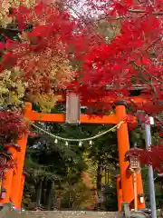 新倉富士浅間神社の鳥居