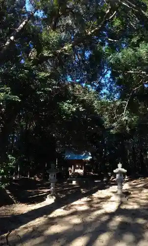 近津神社の本殿・本堂