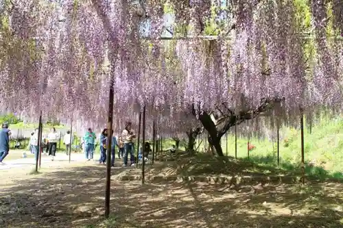 天台宗 五大山 白毫寺の庭園