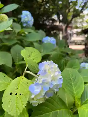 前原御嶽神社(千葉県)