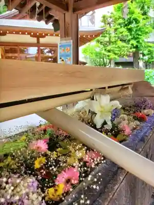 鳩森八幡神社の手水舎