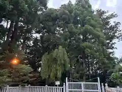 竹駒神社(宮城県)