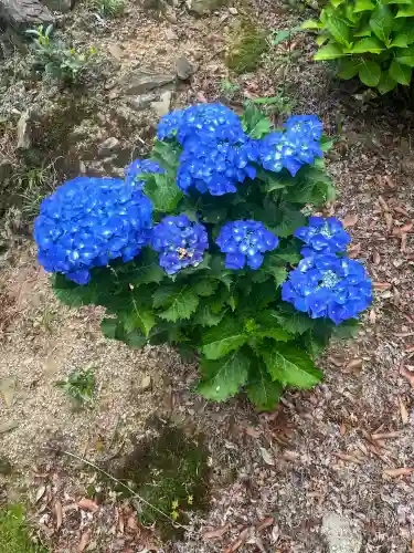 三ヶ根観音（太山寺）(愛知県)