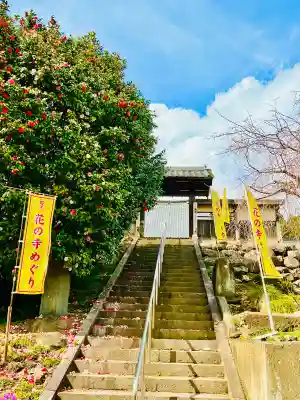 金剛寺の{uncategorized: "未分類", other: "その他", undefined: "問題あり", building: "その他建物", grave: "お墓", sacred_gate: "鳥居", guardian: "狛犬", statue: "像", buddha: "仏像", history: "歴史", nature: "自然", garden: "庭園", animal: "動物", pagoda: "塔", temizu: "手水舎", mountain_gate: "山門・神門", sanctuary: "本殿・本堂", subordinate: "末社・摂社", art: "芸術", scenery: "景色", jizo: "地蔵", ema: "絵馬", goshuin: "御朱印", omikuji: "おみくじ", items: "授与品その他", amulet: "お守り", goshuincho: "御朱印帳", eats: "食事", festival: "お祭り", votive_dance: "神楽", shichigosan: "七五三参", wedding: "結婚式", experience: "体験その他", initially: "初詣", around: "周辺", anti_infection: "感染症対策"}