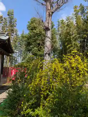 鷺宮八幡神社(東京都)