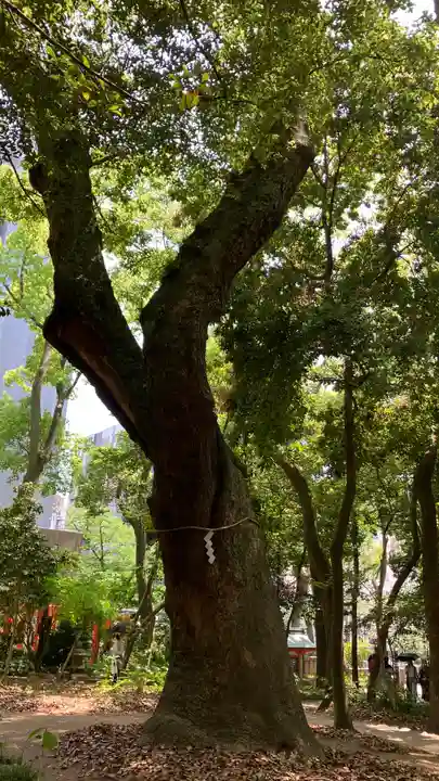 生田神社(兵庫県)