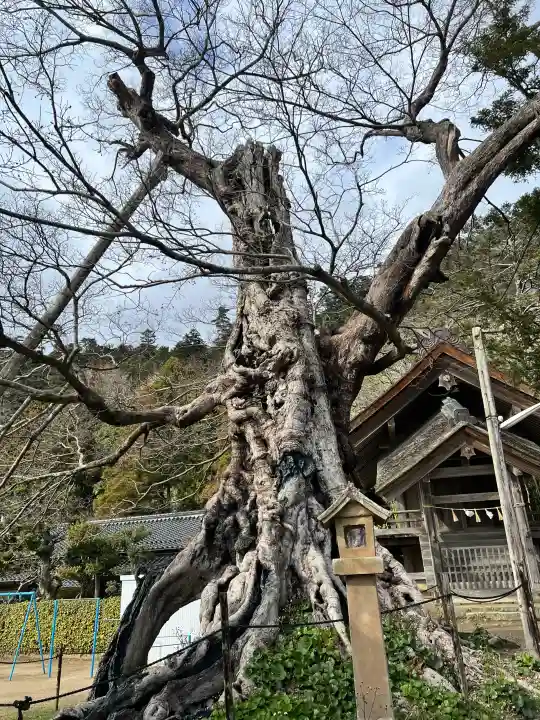 神魂伊能知奴志神社の{uncategorized: "未分類", other: "その他", undefined: "問題あり", building: "その他建物", grave: "お墓", sacred_gate: "鳥居", guardian: "狛犬", statue: "像", buddha: "仏像", history: "歴史", nature: "自然", garden: "庭園", animal: "動物", pagoda: "塔", temizu: "手水舎", mountain_gate: "山門・神門", sanctuary: "本殿・本堂", subordinate: "末社・摂社", art: "芸術", scenery: "景色", jizo: "地蔵", ema: "絵馬", goshuin: "御朱印", omikuji: "おみくじ", items: "授与品その他", amulet: "お守り", goshuincho: "御朱印帳", eats: "食事", festival: "お祭り", votive_dance: "神楽", shichigosan: "七五三参", wedding: "結婚式", experience: "体験その他", initially: "初詣", around: "周辺", anti_infection: "感染症対策"}