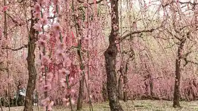 城南宮(京都府)