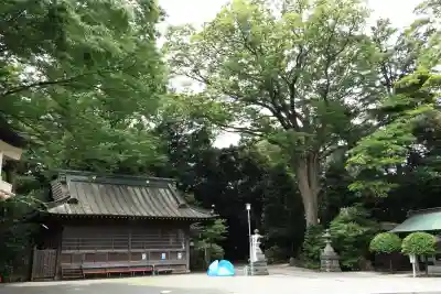 前鳥神社(神奈川県)