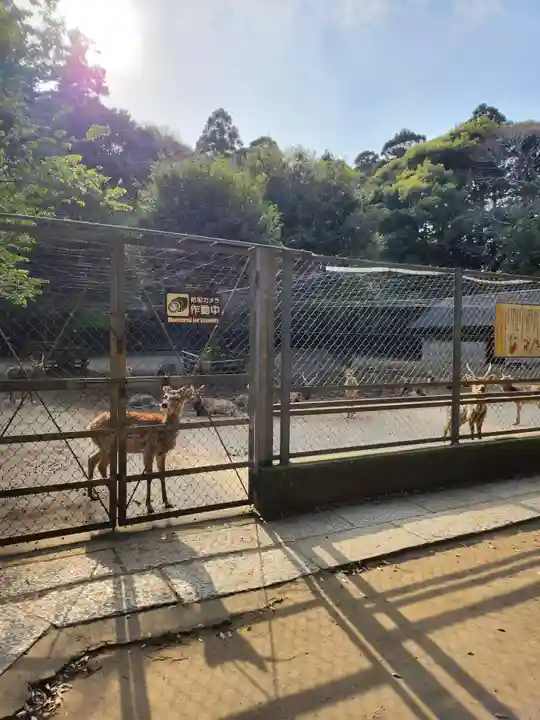 鹿島神宮(茨城県)