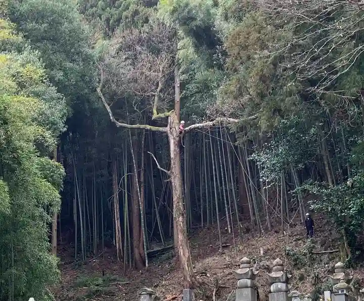 通安寺(福井県)