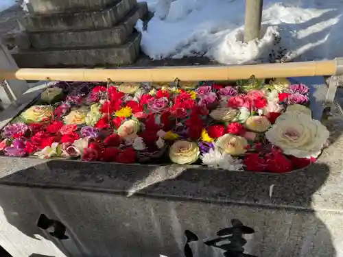 長浜八幡宮の手水舎