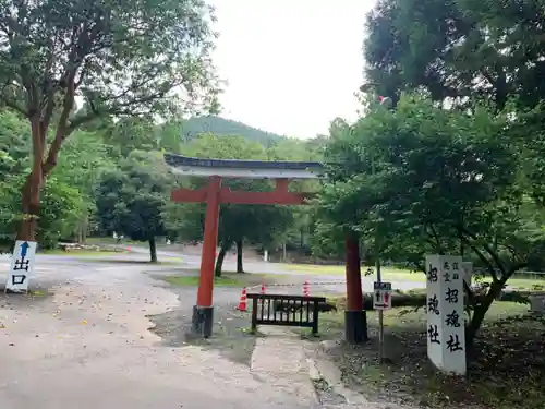 鹿児島神宮の鳥居