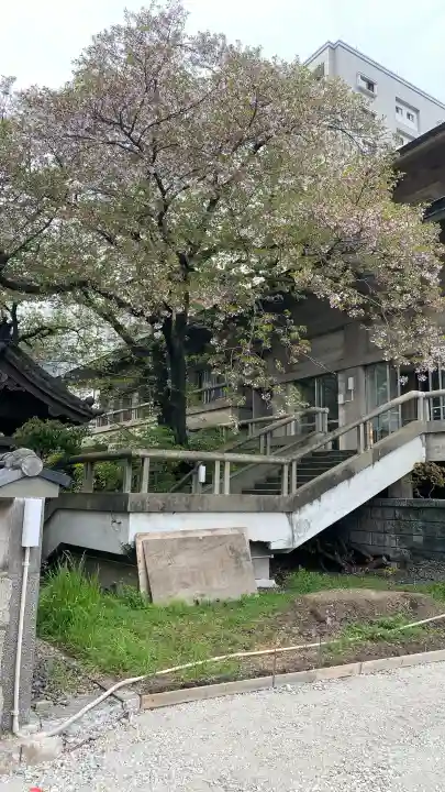 西楽寺の{uncategorized: "未分類", other: "その他", undefined: "問題あり", building: "その他建物", grave: "お墓", sacred_gate: "鳥居", guardian: "狛犬", statue: "像", buddha: "仏像", history: "歴史", nature: "自然", garden: "庭園", animal: "動物", pagoda: "塔", temizu: "手水舎", mountain_gate: "山門・神門", sanctuary: "本殿・本堂", subordinate: "末社・摂社", art: "芸術", scenery: "景色", jizo: "地蔵", ema: "絵馬", goshuin: "御朱印", omikuji: "おみくじ", items: "授与品その他", amulet: "お守り", goshuincho: "御朱印帳", eats: "食事", festival: "お祭り", votive_dance: "神楽", shichigosan: "七五三参", wedding: "結婚式", experience: "体験その他", initially: "初詣", around: "周辺", anti_infection: "感染症対策"}