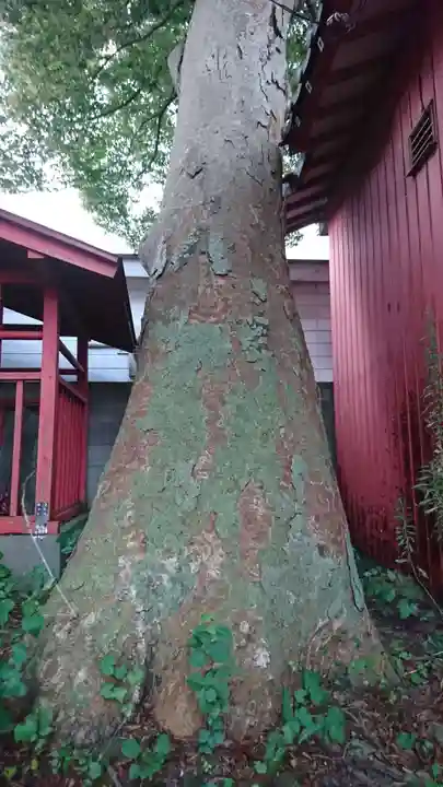 秋葉神社のその他建物