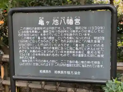 亀ケ池八幡宮の歴史