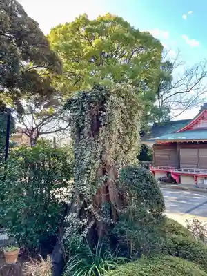 玉川神社(東京都)